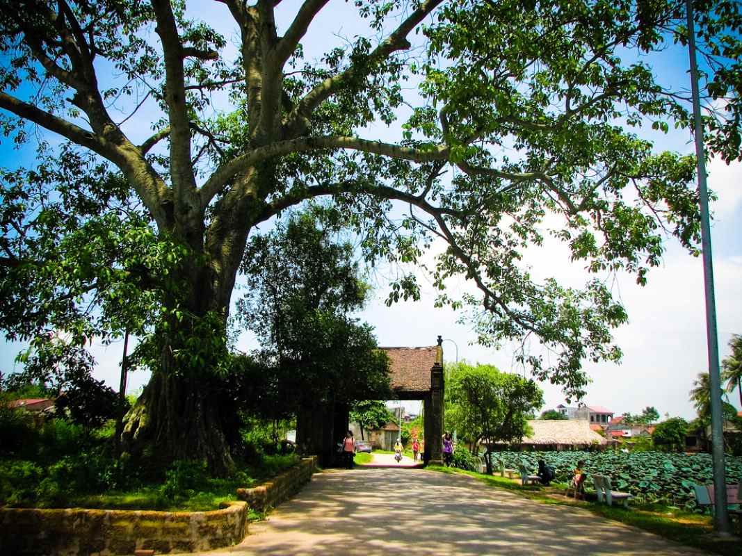 Duong Lam Ancient Village & Tay Phuong Pagoda – 1 Day