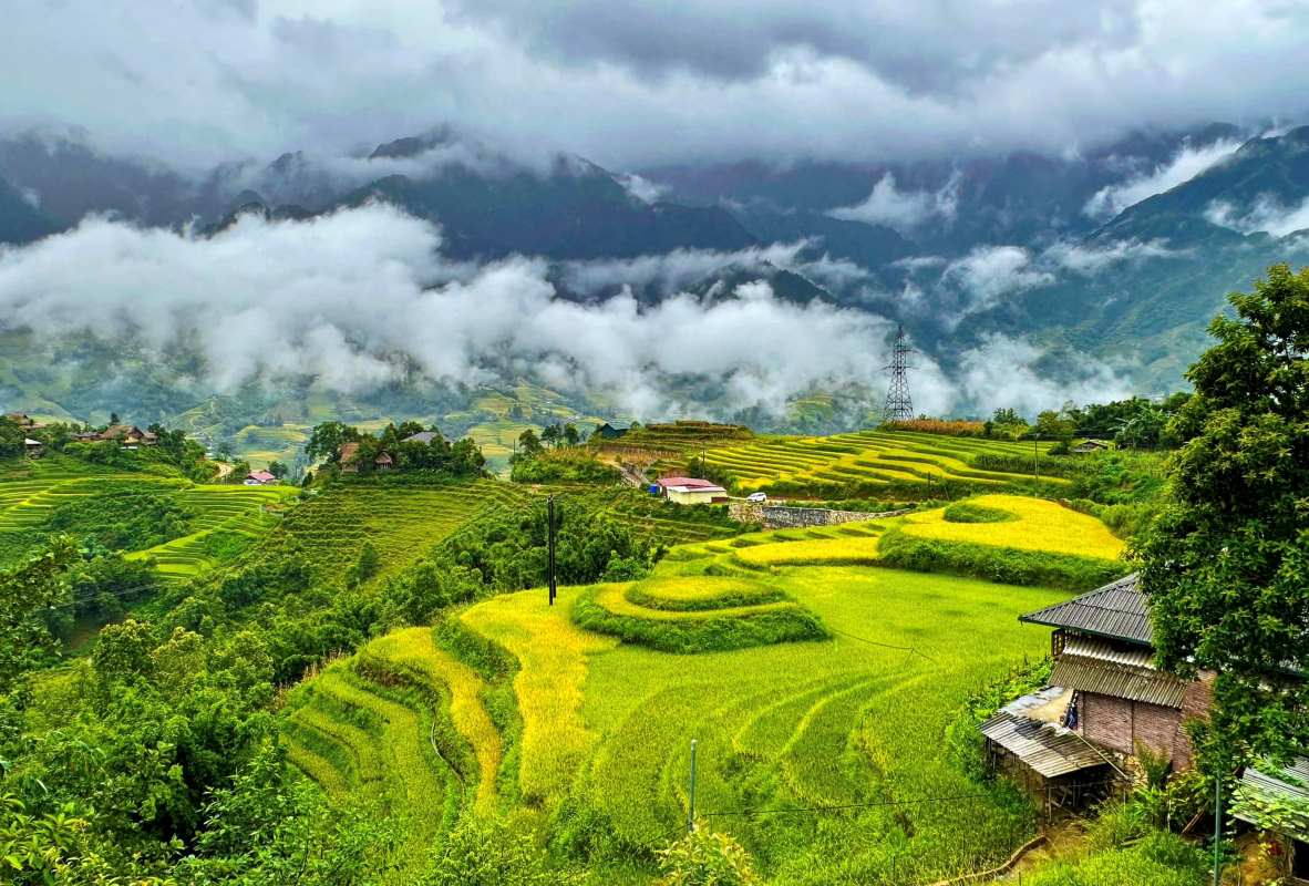  Vietnam
