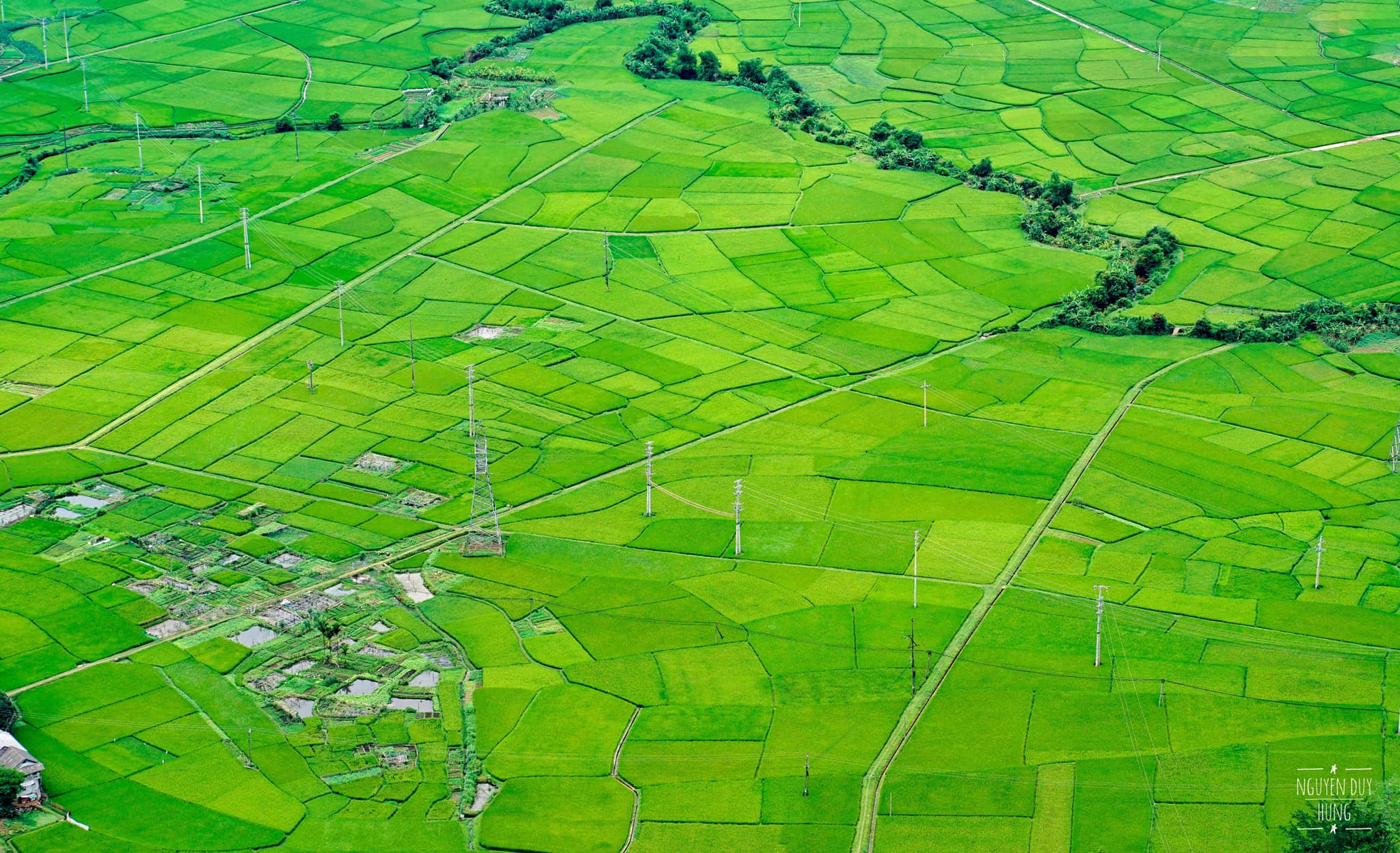 Rice Paddies In Mai Chau On Vietnam Travel Packages