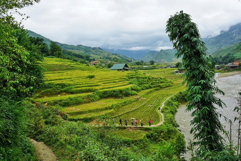 A Glimpse Of Northern Vietnam Tour – 7 Days