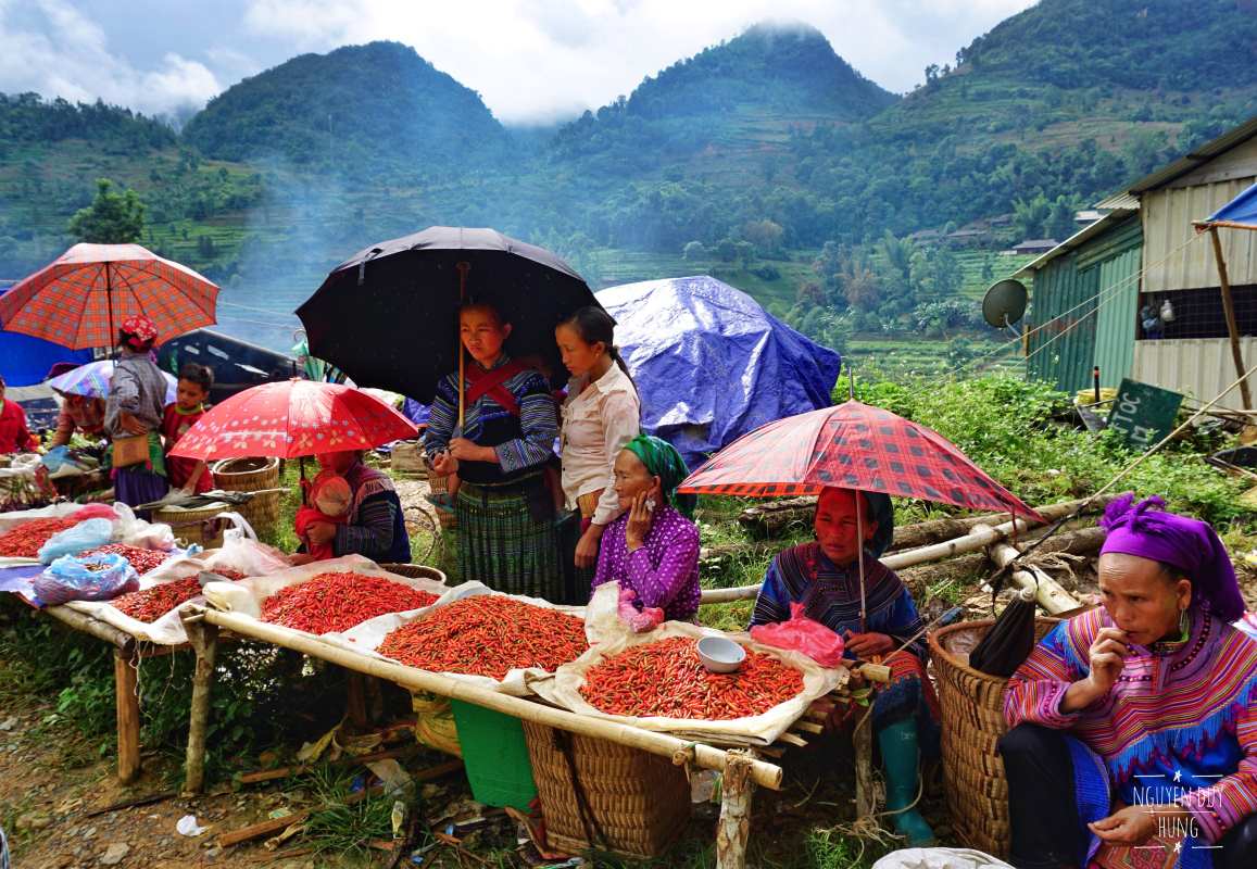 Ha Giang & Sapa – Northern Vietnam Tour – 6 Days