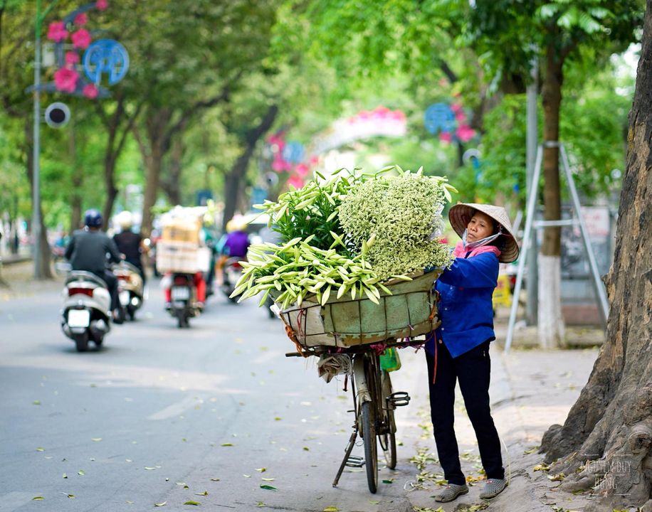 Exceptional tour organization and professionalism profile picture