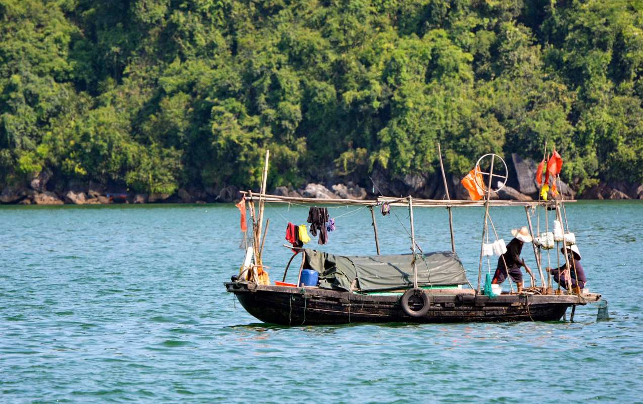 Amazing trip! sustainability & adventure! profile picture