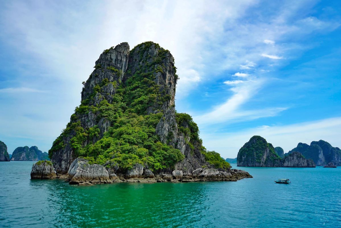 Superb trip profile picture