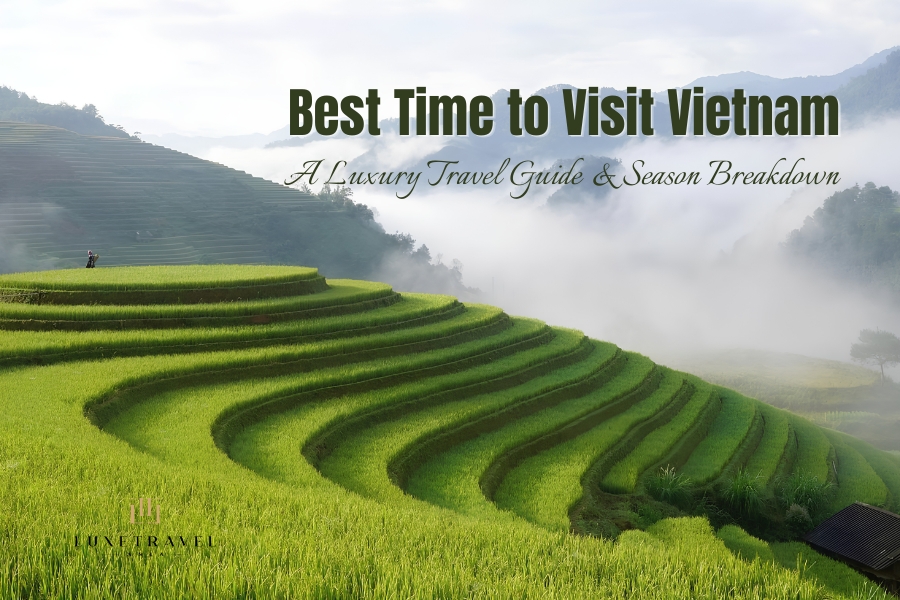Best Time to Visit Vietnam: A Luxury Travel Guide & Season Breakdown