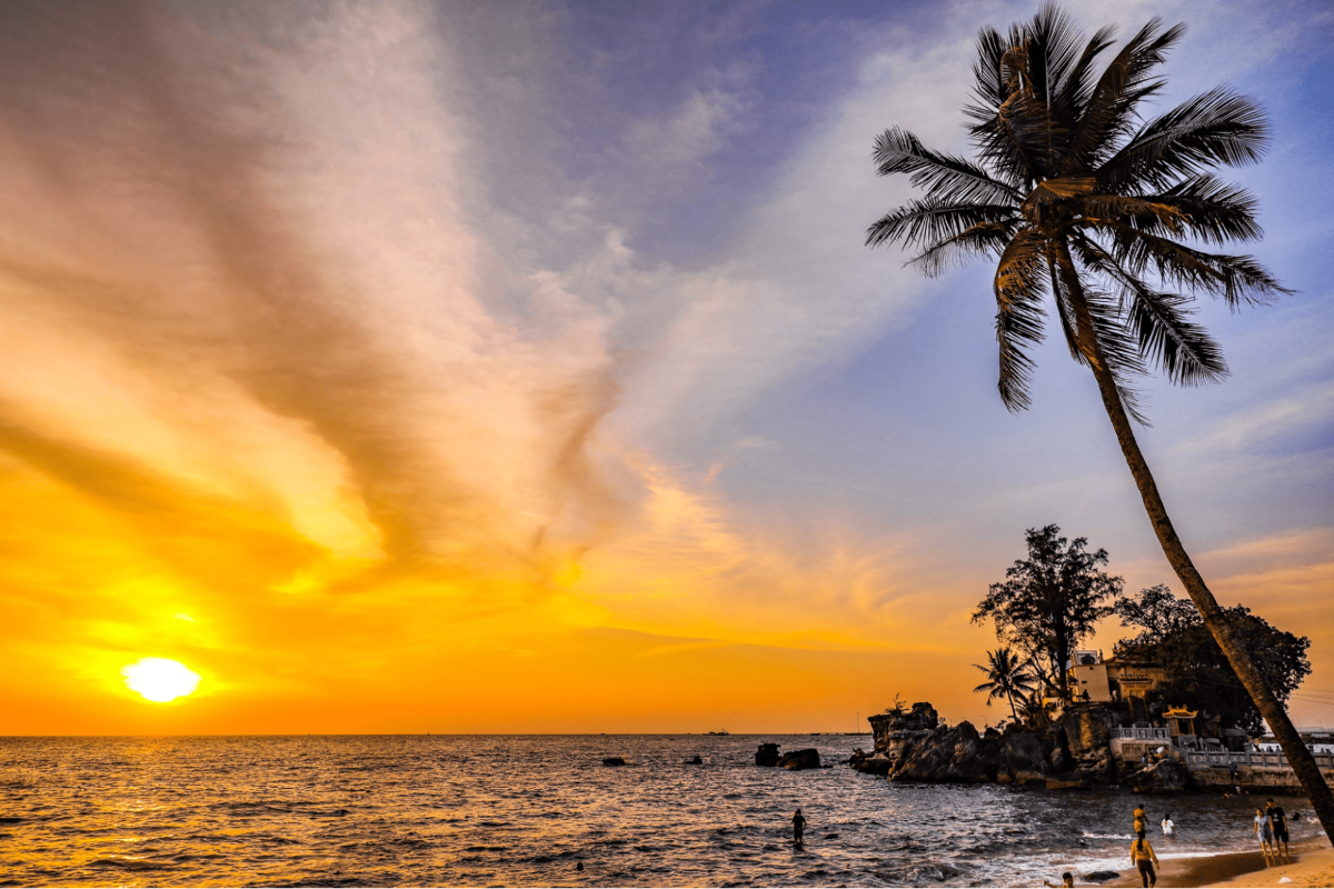 Discover Our Travel Guides