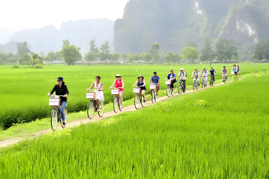 Family with kids riding bicycles along a flat countryside path past green rice fields and towering limestone mountains in Ninh Binh