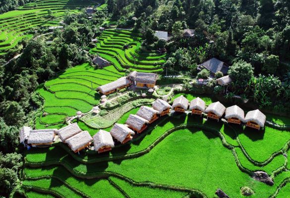 Hoang Su Phi Lodge - Ha Giang
