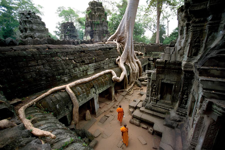 Enormous roots of a strangler fig tree growing over ancient moss-covered stone doorways at Ta Prohm temple in Siem Reap