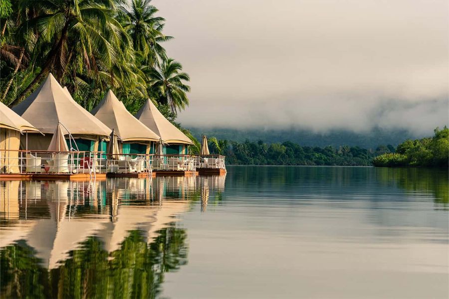 Luxury safari-style glamping tent on a wooden platform nestled inside the lush dense rainforest canopy of the Cardamom Mountains