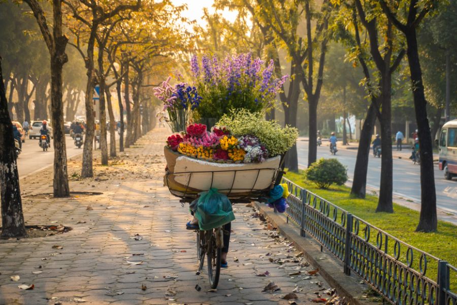 Traditional bicycle parked on a city sidewalk stacked high with colorful fresh autumn flowers including white daisies and yellow marigolds in Hanoi