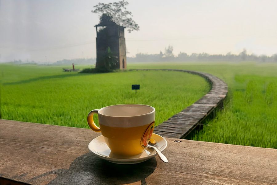 Elevated bamboo bridge winding through vast green rice fields toward an old rustic brick kiln cafe in Hoi An countryside