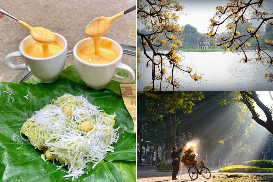 Golden sunlight filtering through yellow-leaf canopy along a quiet street with colonial architecture in Hanoi during autumn in Vietnam