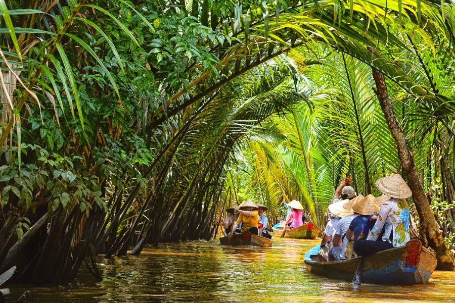 Shaded coconut canals in the Mekong Delta
